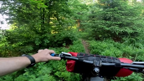 POV mountain bike ride through dense summer forest on narrow trail surrounded by Stock Footage 319829132