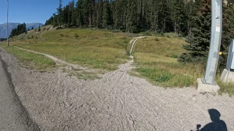 POV from a mountain bike while crossing a road in Jasper National Park Stock Footage 323538954