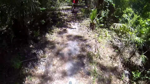 POV mountain biking through Florida woods Stock-Footage 24785838
