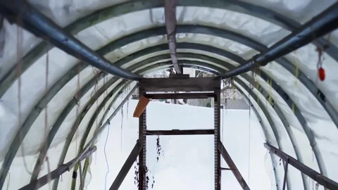 POV move inside an old polytunnel greenhouse with arched plastic roof and Video stock 327829941