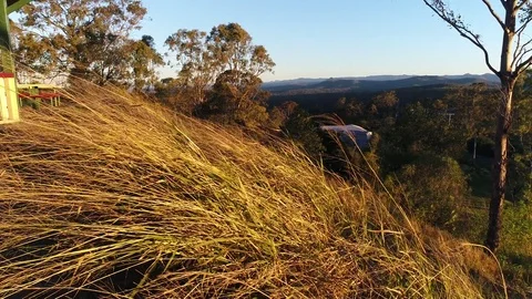 POV Moving Through Long Grass in the Wind Revealing Hills Stock Footage 78231056