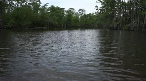 POV Moving Through River Stock Footage 11886485