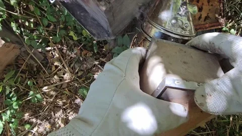 POV Opening a Beehive and Inspecting Honeycomb Frames Vidéo 342085300