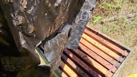 POV Opening a Beehive and Inspecting Honeycomb Frames Vidéo 342085466