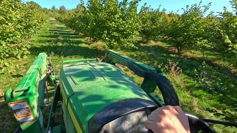 POV Operating Hazelnut Harvesting Machine in Orchard Stock-Footage 345504187
