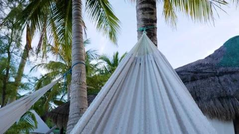 POV of palm trees from inside a swinging hammock Stock-Footage 178051345