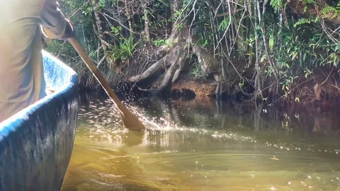 POV Passengers view in a large canoe being rowed jungle river. Slow Motion. Video stock 104581632