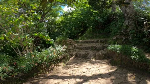 POV path around Royal Palace on Ambohimanga Hill, Antananarivo province Stock Footage 308809535