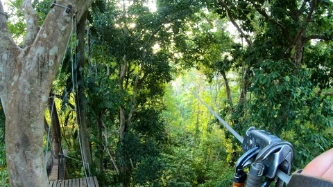 POV of a person Zip Lining through the Jungle high above the forest floor Stock Footage 108898623