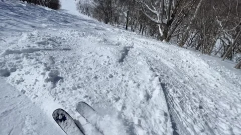 POV Personal perspective skiing through the powder Video stock 311588960