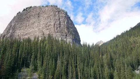 POV of pine tree forest in Banff National park,Alberta,Canada Stock Footage 120019225