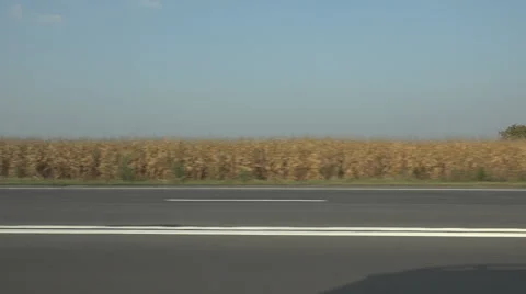 POV Point of view car passing landscape corn culture traffic driving road trip  Stock Footage 45765748