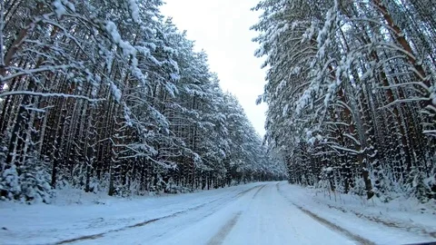 POV point of view - Driving in the mountains after snow storm. Stock Footage 99459850