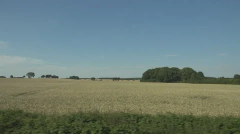 POV Point of view train trip sunny day view cereal field rural place enjoy trip Stock Footage 41480315