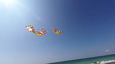 POV point of view. Two cheery and bright kite in the blue sky on the seashore Stock Footage 84733956