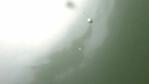 POV point of view under the sea moving hands to float in the water at the beach 库存影片 195128185