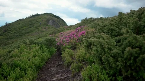 POV point of view walking along hiking mountain trail path, People Footsteps Stock Footage 79693175