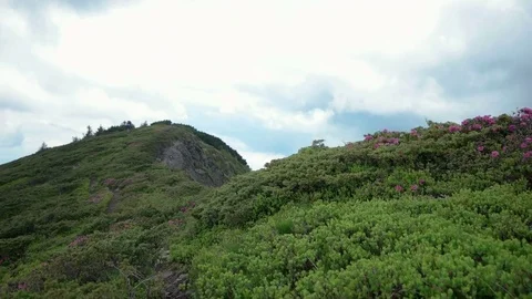 POV point of view walking along hiking mountain trail path, People Footsteps Stock Footage 79695228