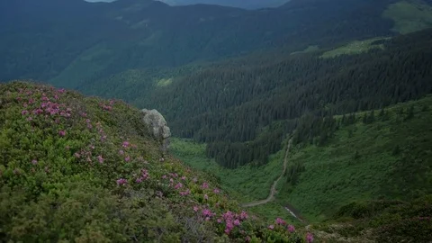 POV point of view walking along hiking mountain trail path, People Footsteps Stock Footage 79695906