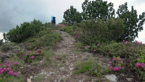 POV point of view walking along hiking mountain trail path, People Footsteps Stock Footage 79697485