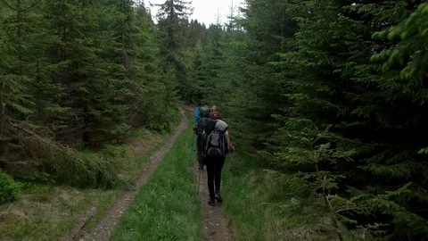 POV point of view walking along hiking mountain trail path, People Footsteps Stock Footage 80678746