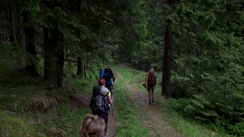 POV point of view walking along hiking mountain trail path, People Footsteps Stock Footage 80678881