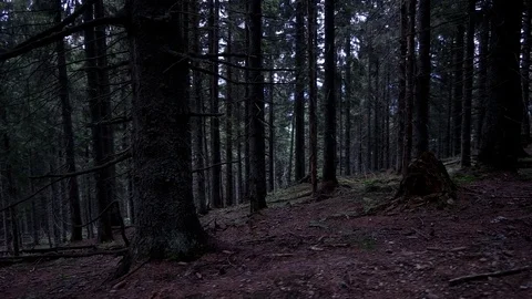 POV point of view walking along hiking mountain trail path, People Footsteps Stock Footage 80679081