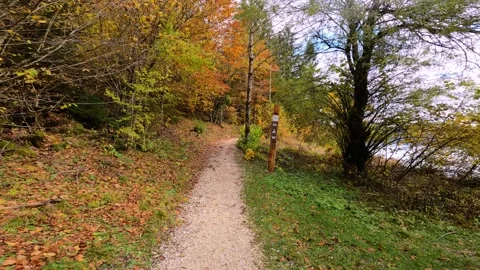 POV point of view walking on forest trail near Bohinj lake, Slovenia Stock Footage 143586530