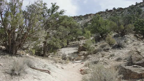 POV point of view walking, hiking along path on desert trail, Escalante Utah Stock Footage 248580948
