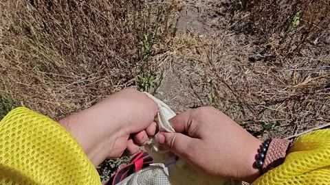 POV Putting on Protective Gloves for Beekeeping Stock Footage 342085450