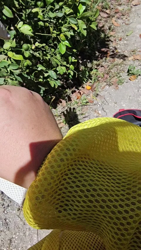 POV Putting on Protective Gloves for Beekeeping Stock Footage 342085452