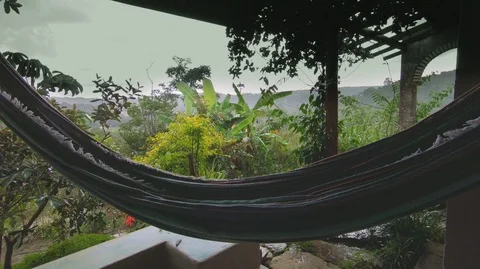 POV of rainy day in the forest. Stock Footage 115086944
