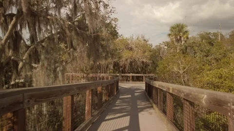 POV real time walking over wood boardwalk deck in Boca Ciega Millennium Park in Stock Footage 265024127