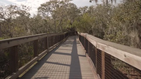 POV real time walking over wood boardwalk deck in Boca Ciega Millennium Park in Stock Footage 265024691
