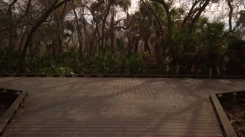 POV real time walking over wood boardwalk deck in Boca Ciega Millennium Park in Stock Footage 265024732
