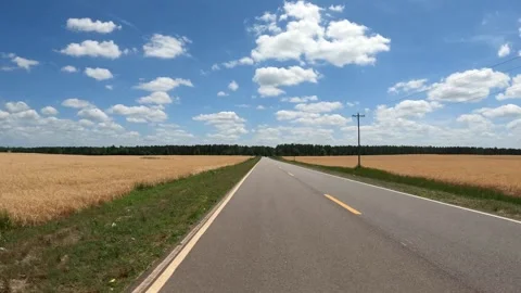POV rear view puffy clouds blue sky wheat farmland and rural Georgia back roa Stock Footage 185219590