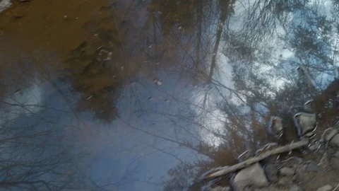 POV reflection of the sky in a mountain stream Stock Footage 129755011
