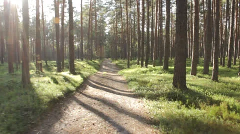 POV of the Runner Stock Footage 25522079