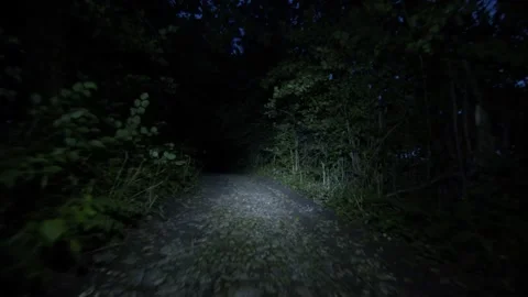 POV of a runner illuminating the forest with his headlamp in the night Stock Footage 210231385