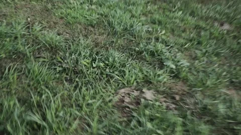 POV Running Across Grass Stock Footage 169974449