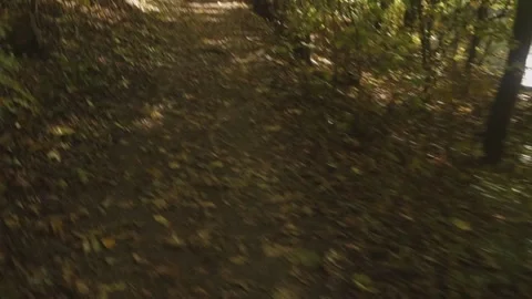 POV running along a path in the forest Stock Footage 173476906