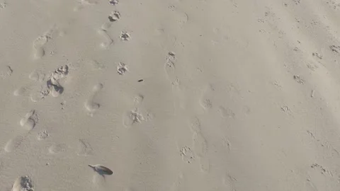 POV Running On Beach Stock Footage 182035168