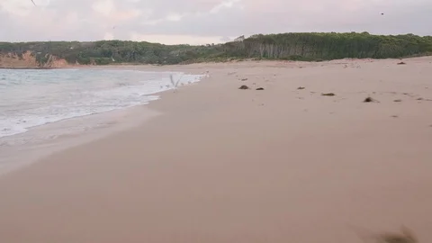 POV running on beach with seagulls Stock Footage 87895249
