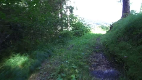 Pov running in the forest, Alta Badia dolomiti Video stock 79642476