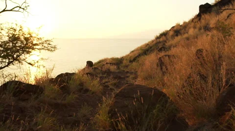 POV Running on Sunset Hiking Trail Stock Footage 59042586
