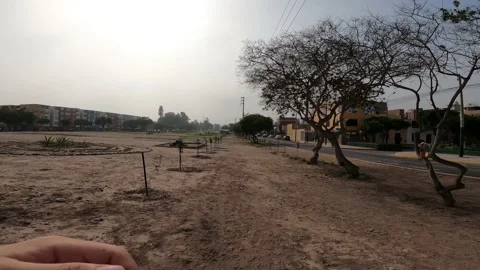 Pov running through the park where they have just planted trees 库存影片 149209590