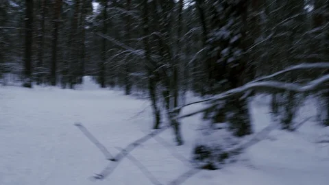 Pov Scared Man Slow Running Through The Winter Forest Stock Footage 101513632