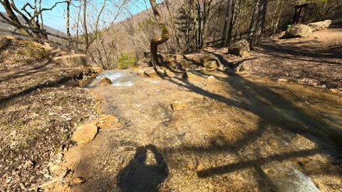 POV Shadow Filming Forest Stream Flowing Toward Waterfall Video stock 330664107