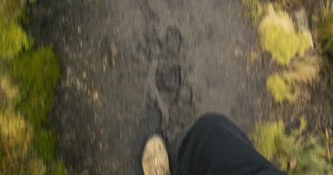 POV of shoes walking on muddy path in mountains Stock Footage 87212968