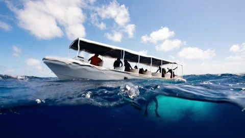 POV shot breaks ocean surface at end of SCUBA Dive to show divers and boat Stock Footage 344060868